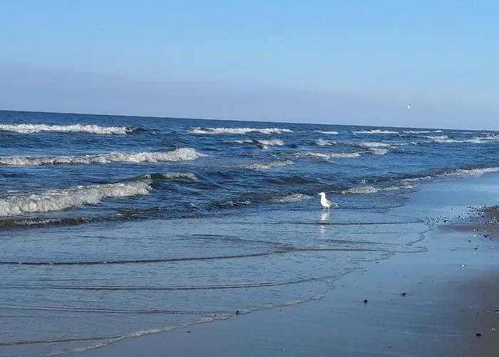 Anna Prázdninový dům